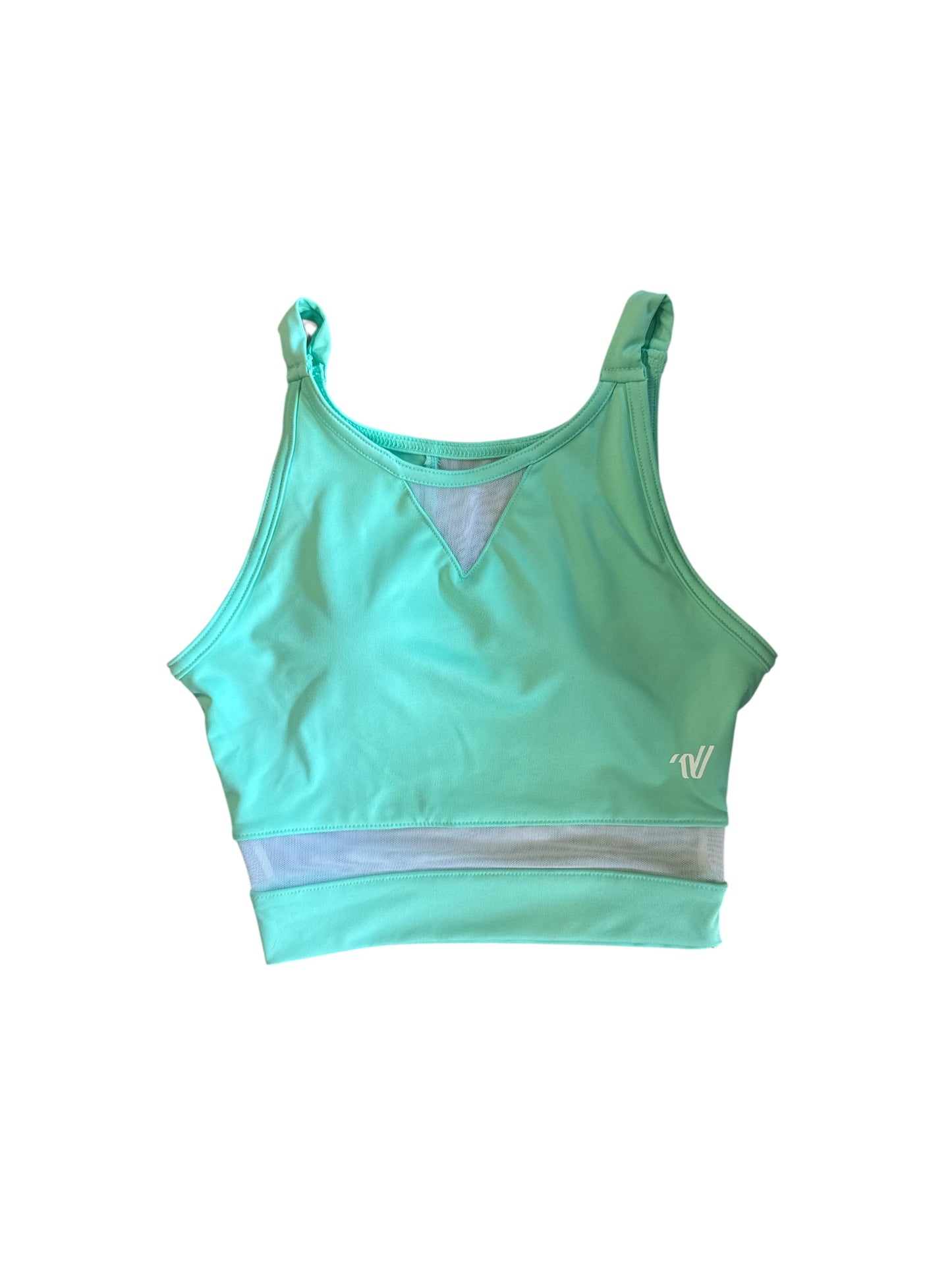 Seafoam Varsity LongLine Mesh Sportsbra
